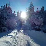 Uschi's Steinroeschen Mit Hallenbad Und Sauna